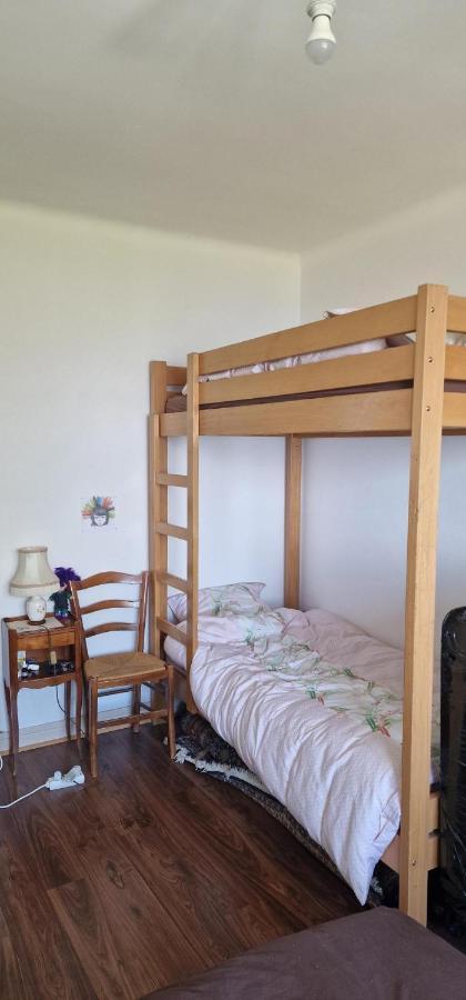 Apartament Le Bellevue 2 Thonon-les-Bains Zewnętrze zdjęcie