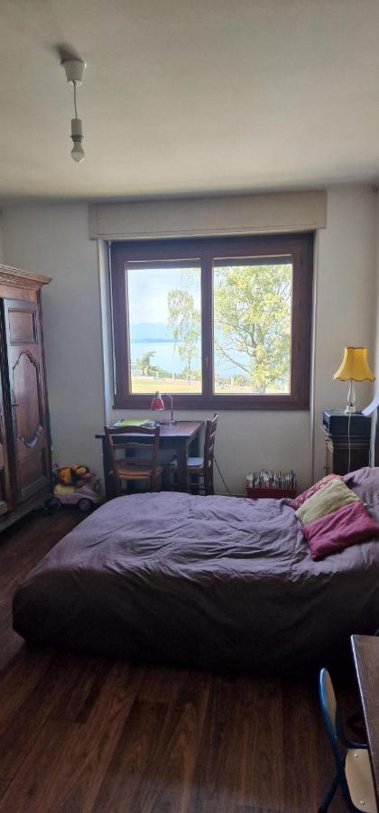 Apartament Le Bellevue 2 Thonon-les-Bains Zewnętrze zdjęcie