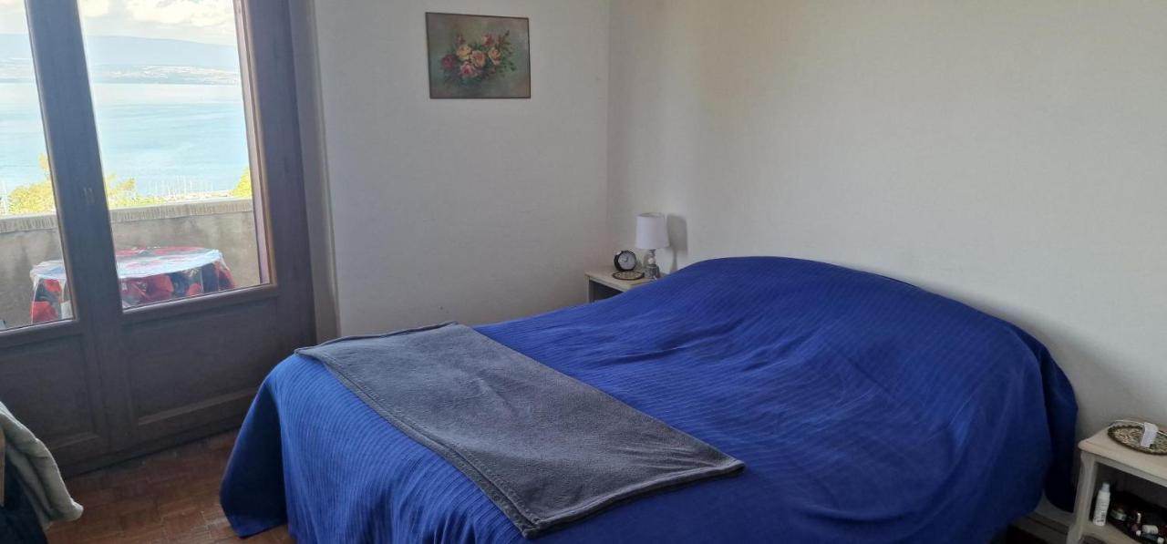 Apartament Le Bellevue 2 Thonon-les-Bains Zewnętrze zdjęcie