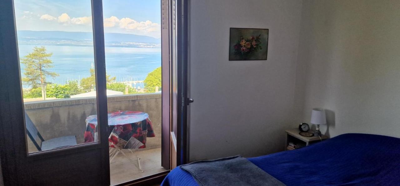 Apartament Le Bellevue 2 Thonon-les-Bains Zewnętrze zdjęcie